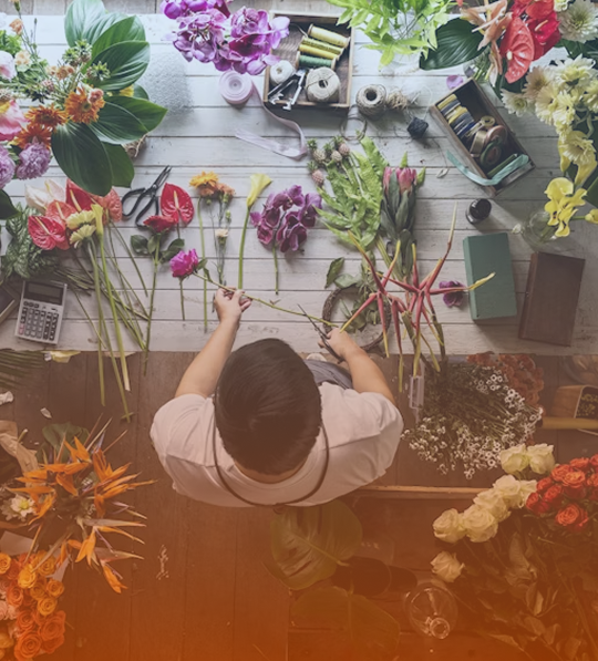 Flower and Plant Lovers